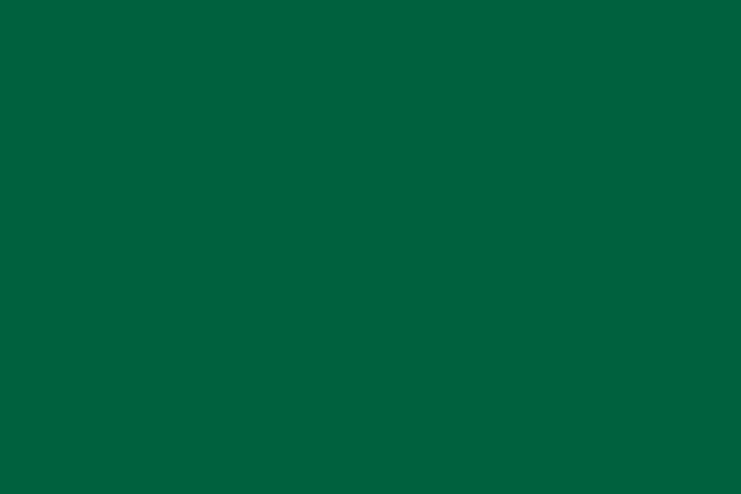 Starbucks Customer Experience – Terms And Conditions 